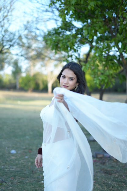 Chand ka tukda - chiffon handwork saree